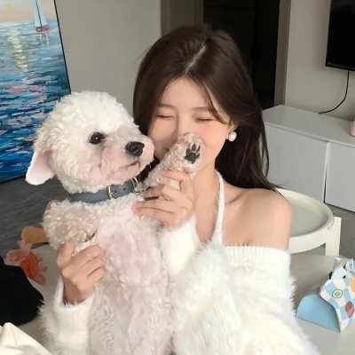 赞我 在线观看封面